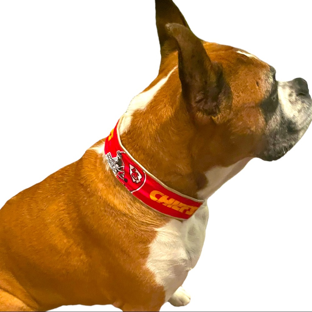 Chiefs Kingdom collar